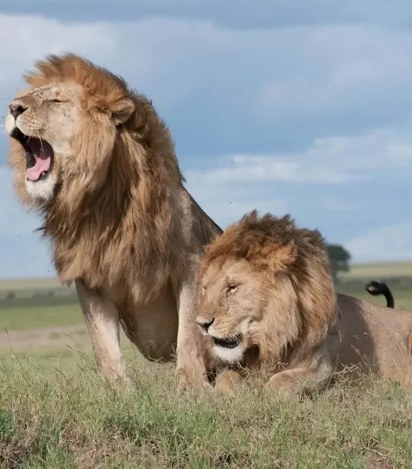 98b0cbe65b331c4965059995a1db9e9485a9c12e